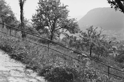 Feldkirch vom Schallerhof aus