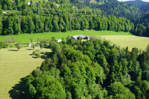 [Bregenz - Fluh - Hor]