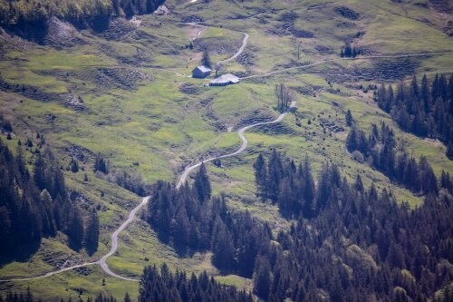 [Dornbirn - Gschwendtalpe]