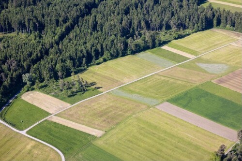[Bludesch, Landwirtschaft]