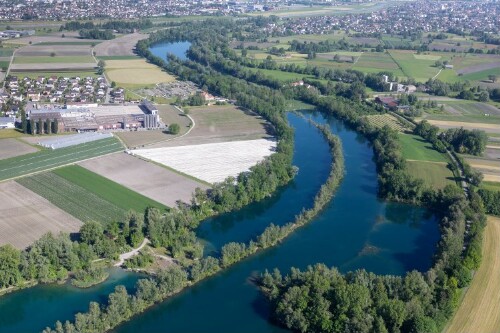 [Hohenems - Rheinauen, Alter Rhein]