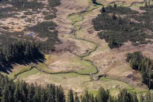 [Riefensberg - Hochhäderich, Hochmoor]