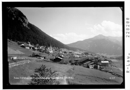 Trins (1214 m) im Gschnitztal gegen Geierspitze (2858 m) : [Trins gegen Bentlstein / Tirol]