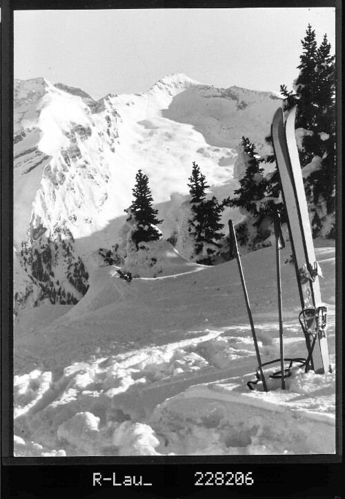[Blick vom Sallelberg ob Gries am Brenner gegen Hohe Wand und Kraxentrager / Tirol]