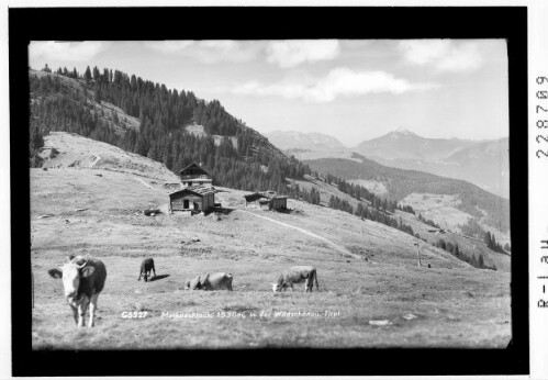 Markbachjoch 1530 m in der Wildschönau / Tirol