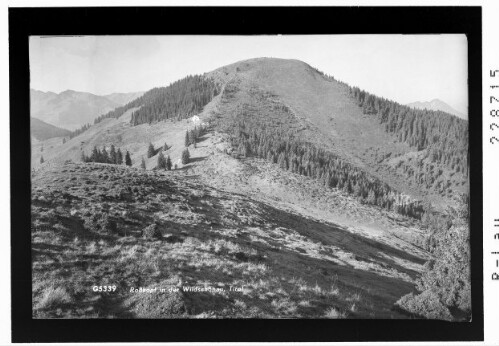 Roßkopf in der Wildschönau / Tirol