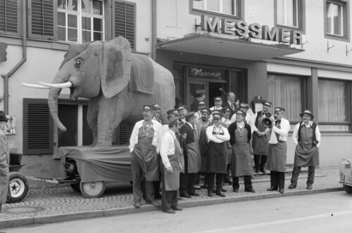 Faschingsumzug in Bregenz