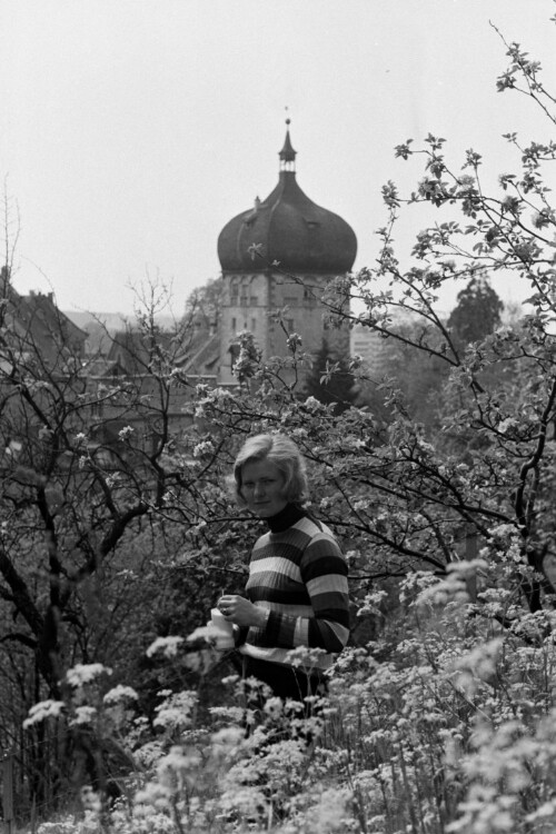 Martinsturm in Bregenz