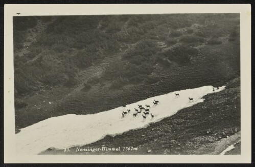 [Nenzing] Nenzinger-Himmel 1367 m