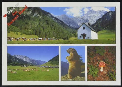 [Nenzing] Herzliche Grüße aus dem Nenzinger Himmel : [Nenzinger Himmel, 1368 m im Gamperdonatal mit Blick auf Panüeler Kopf, 2859 m, Rätikon Vorarlberg, Österreich ...]