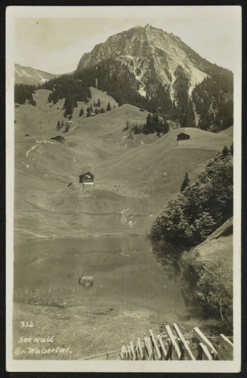 [Fontanella] Seewald Gr. Walsertal