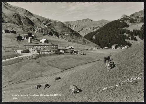 [Fontanella] Faschina mit Damülser Mittagspitze 2097 m