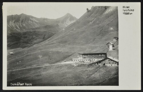 [Fontanella Faschina] Hotel Faschina 1500 m : Damülser Horn