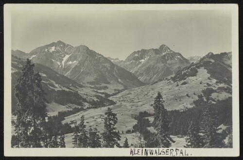 [Mittelberg Hirschegg] : [Hirschegg mit Elfer- und Zwölferhorn, Widderstein ...]