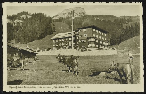 [Mittelberg Hirschegg] Sporthotel Auenhütte, 1340 m mit Hoch-Jfen 2230 m ü. M. : [Sporthotel Auenhütte 1340 m das höchstgelegene Sporthotel des Kleinen Walsertales Prospekte durch Besitzer Otto Herz ...]