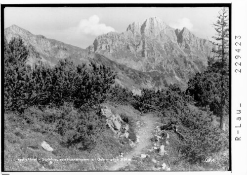 [Blick zur Schneidspitze und Gehrenspitze / Ausserfern / Tirol]