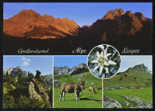 [Raggal] Großwalsertal Alpe Laguz : [Alpe Laguz, 1584 m, im Großwalsertal Klesenzahörner und Rote Wand im Abendrot  Steinadler  v. L. / Alpvieh / Alpe L. mit Madratsch Vorarlberg, Österreich ...]