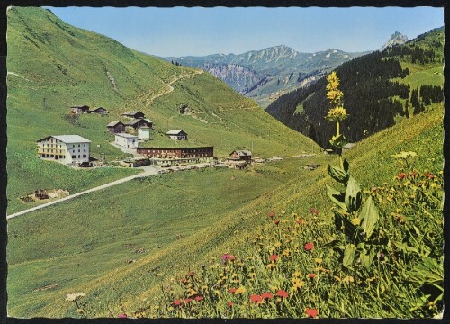 [Fontanella Faschina] : [Faschina, Vorarlberg - Austria ...]