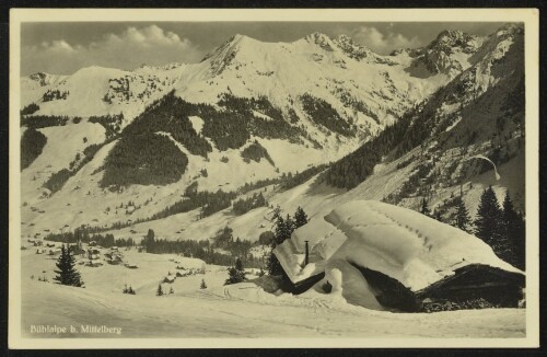 Bühlalpe b. Mittelberg