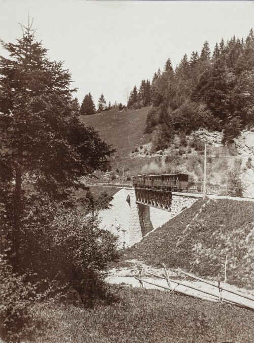 Zug auf der Sporeneggbrücke