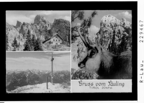 Gruss vom Säuling 2047 m / Tirol