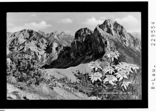 das schönste Blümerl auf der Welt : [Tannheimergruppe / Ausserfern / Tirol]