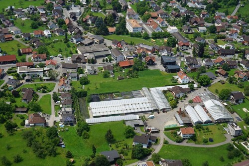 [Klaus, Gärtnerei Ludescher]