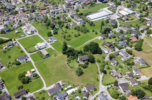 [Klaus, Gärtnerei Ludescher]