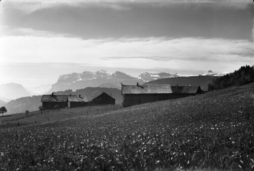 Vorsäß in Schwarzenberg mit Kanisfluh und Mittagsspitze im Hintergrund