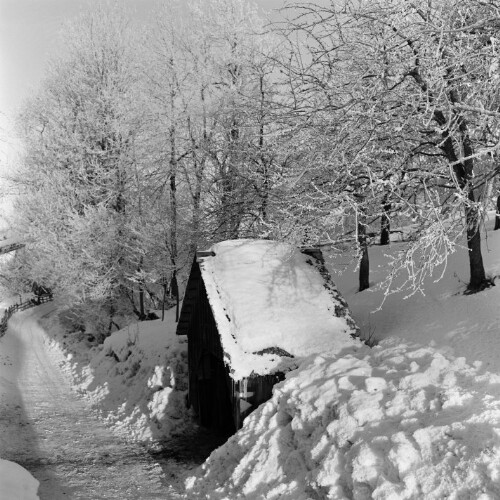 Dornbirn Kehlegg, Winterlandschaft