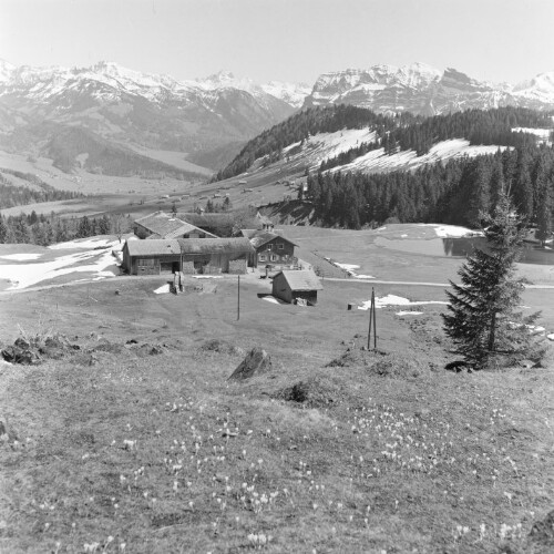 Schwarzenberg, Hochälpelealpe