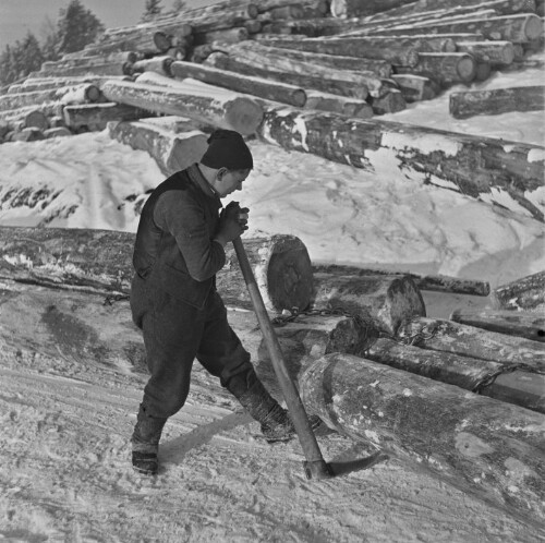 Dornbirn Kehlegg, Forstwesen