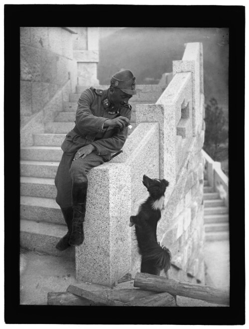 K. k. Standschützen-Bataillon Bezau, Max Juen mit Hund Loki beim Soldatenfriedhof Bondo