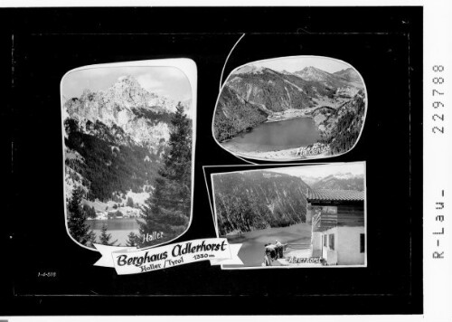 Berghaus Adlerhorst / Haller / Tirol 1330 m : [Bergasthof Adlerhorst ob Haller am Haldensee im Tannheimertal und Umgebung / Ausserfern]