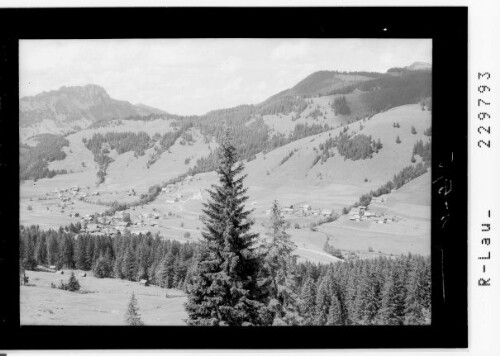 [Schattwald im Tannheimertal gegen Sorgschrofen / Ausserfern Tirol]