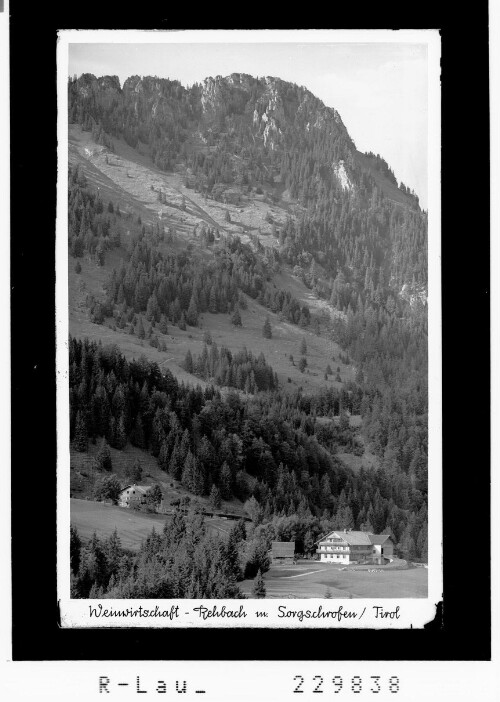 Weinwirtschaft - Rehbach mit Sorgschrofen / Tirol : [Gasthof Alpenrose in Rehbach bei Schattwald im Tannheimertal gegen Sorgschrofen / Ausserfern]