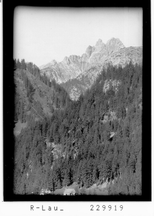 [Bernhardstal bei Elbigenalp im Lechtal mit Grossem Krottenkopf und Hermannskarspitze / Ausserfern / Tirol]