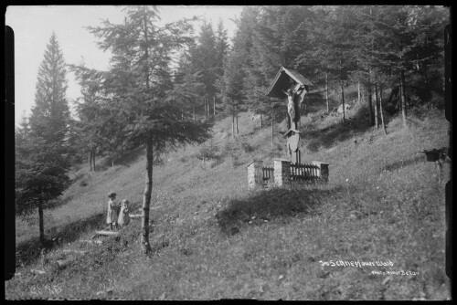 Im Schnepfauer Wald