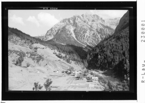 [Boden im Bschabertal gegen Muttekopf / Ausserfern / Tirol]