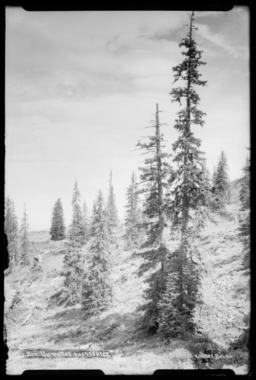 Dem Unwetter ausgesetzt