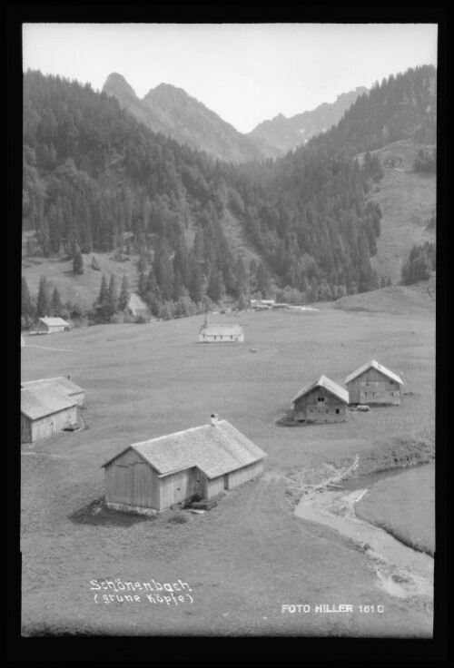 Schönenbach (grüne Köpfe)