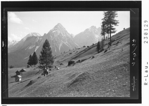 [Blick vom Hochmoos ob Lermoos im Ausserfern gegen das Mieminger Gebirge / Tirol]