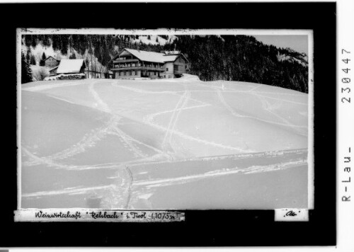 Weinwirtschaft Rehbach in Tirol ( 1075 m ) : [Gathof Alpenrose in Rehbach bei Schattwald im Tannheimertal Ausserfern]