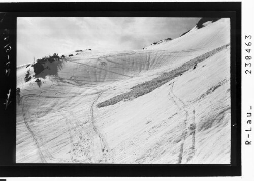 [Im Birkental / Ausserfern / Tirol]