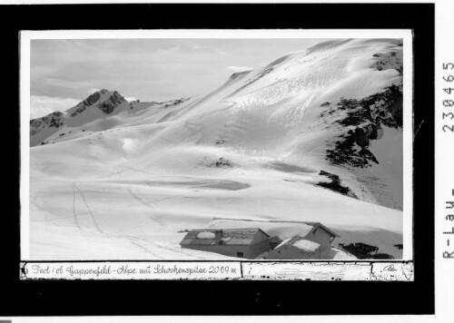 Tirol / Gappenfeld Alpe mit Schochenspitze 2069 m