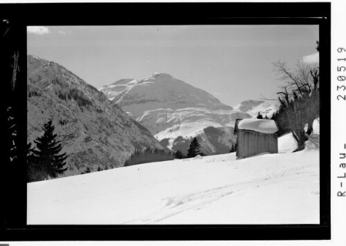 [Skigebiet ob Holzgau im Lechtal mit Blick zum Pimig und zur Lärchspitze / Ausserfern / Tirol]