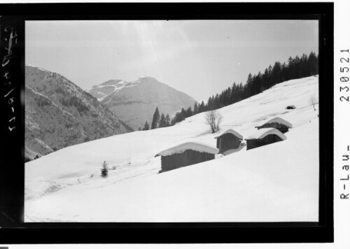 [Skigebiet ob Holzgau im Lechtal gegen Schwarzen Kranz und Pimig / Ausserfern / Tirol]