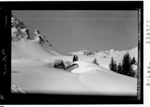 [Skigebiet Höfener Alpe gegen Alpkopf / Ausserfern / Tirol]