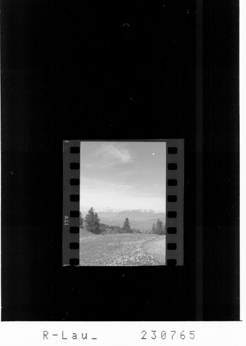 [Blick vom Pfänder gegen Balfrieser Berge und Alpsteingruppe]