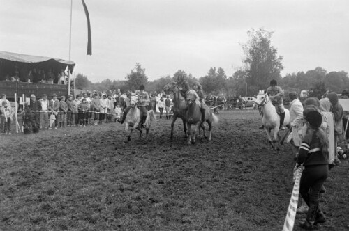 Drittes Helmut-Lindinger-Gedenkturnier der Bregenzer Reitvereinigung